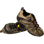 Dehydrated Pineapples